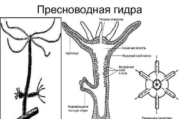 Рабочие зеркала блэкспрут тор