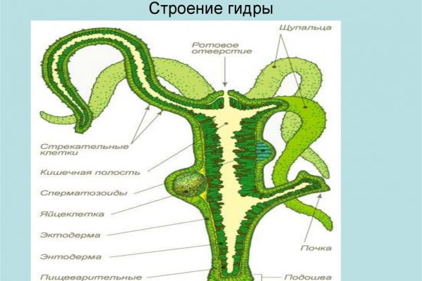 Украли аккаунт блэк спрут