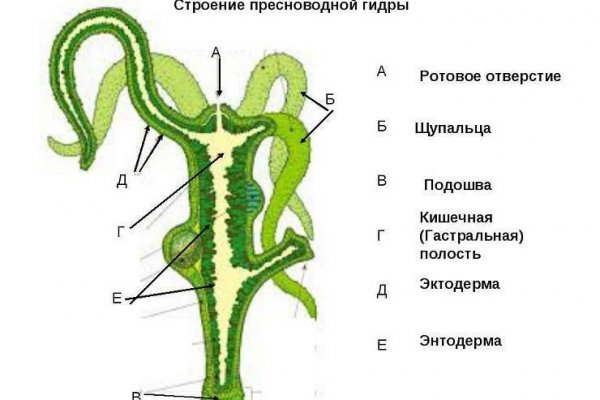 Блэк спрут рабочее зеркало blacksprut pl