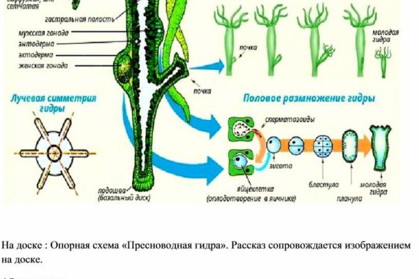 Блэкспрут ссылка bs2webes net